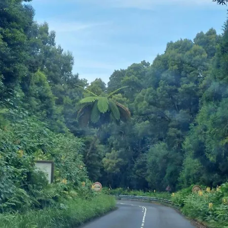 Casa Da Ermida Дом отдыха Понта-Делгада