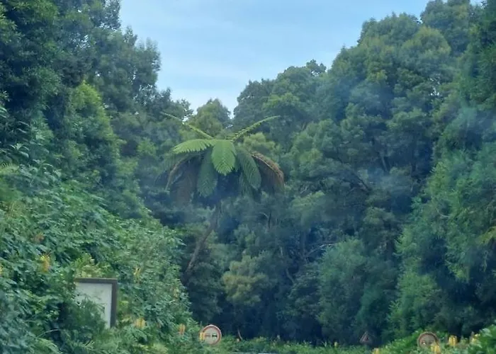 Casa Da Ermida Holiday home Ponta Delgada (Sao Miguel)