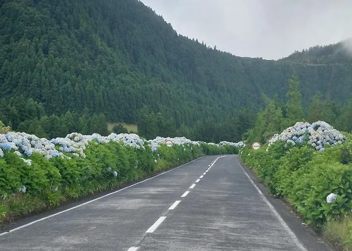 Casa Da Ermida * Ponta Delgada (Sao Miguel)